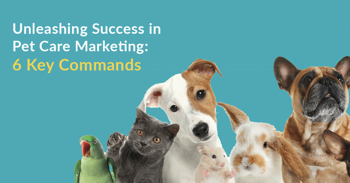 Unleashing Success in Pet Care Marketing 6 Key Commands